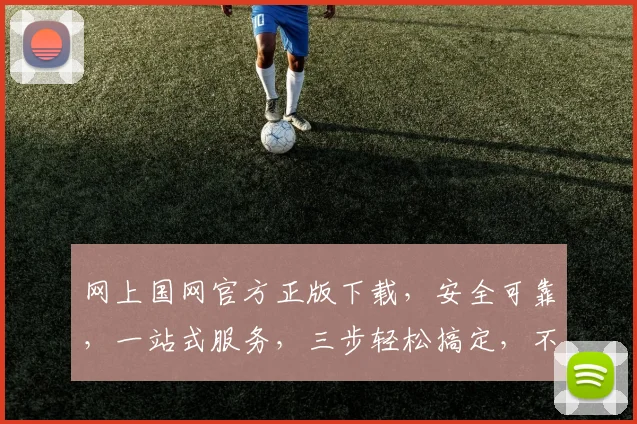 网上国网官方正版下载，安全可靠，一站式服务，三步轻松搞定，不容错过