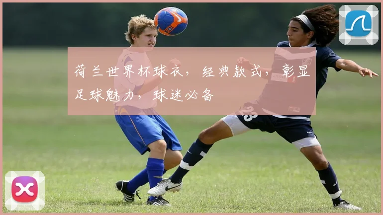 荷兰世界杯球衣，经典款式，彰显足球魅力，球迷必备