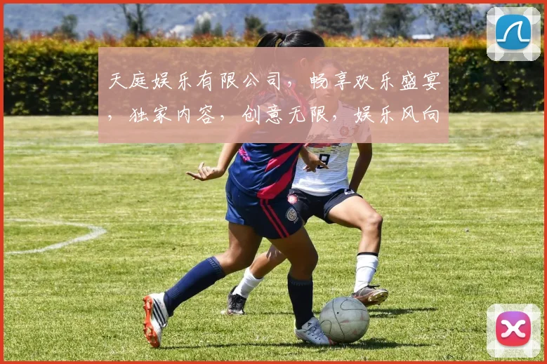 天庭娱乐有限公司，畅享欢乐盛宴，独家内容，创意无限，娱乐风向标，品质生活体验场