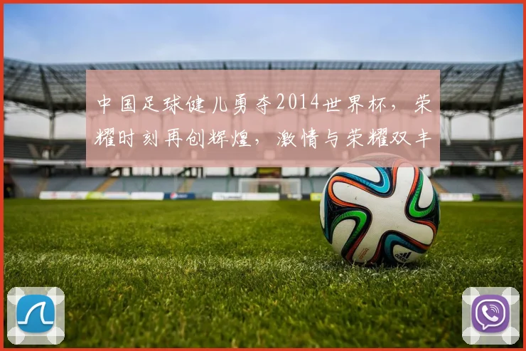 中国足球健儿勇夺2014世界杯，荣耀时刻再创辉煌，激情与荣耀双丰收