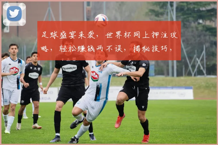 足球盛宴来袭，世界杯网上押注攻略，轻松赚钱两不误，揭秘技巧，必看